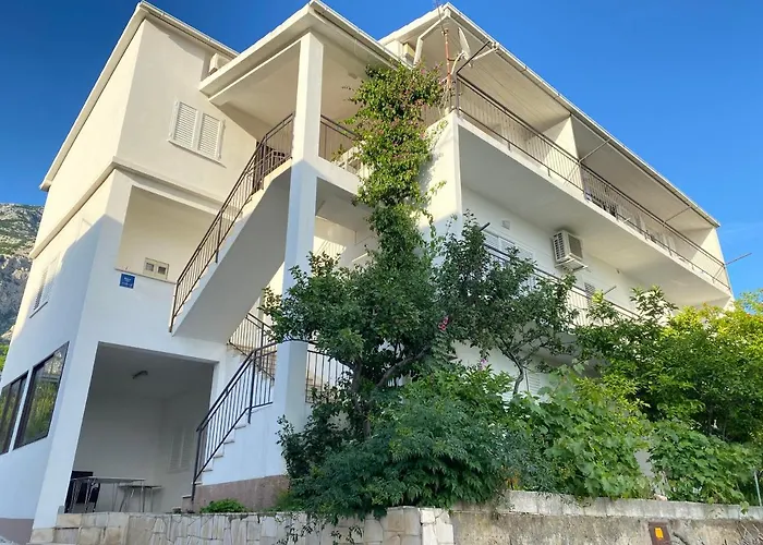 New Papillon * Makarska